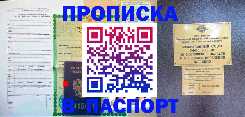 временная регистрация госуслуги в Дальнереченске